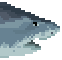 Tiger Shark Meat