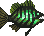 Voltaic Grouper