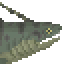 Xenacanthus Meat