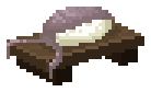 Grey Triggerfish Sushi