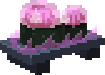 Parhelion Jellyfish Sushi