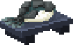 Shattered Wreckfish Sushi