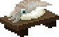 Spear Squid Sushi